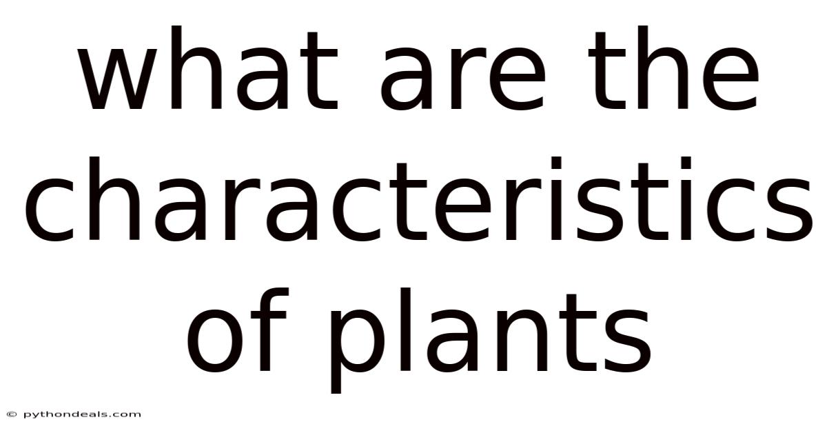 What Are The Characteristics Of Plants