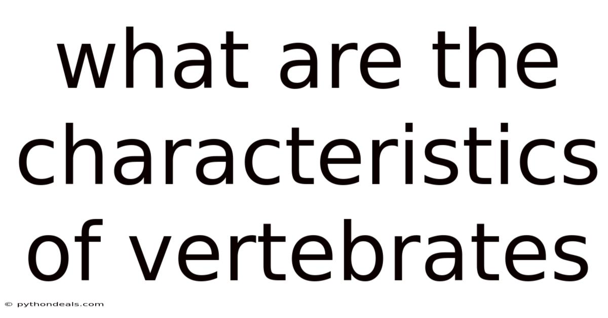 What Are The Characteristics Of Vertebrates