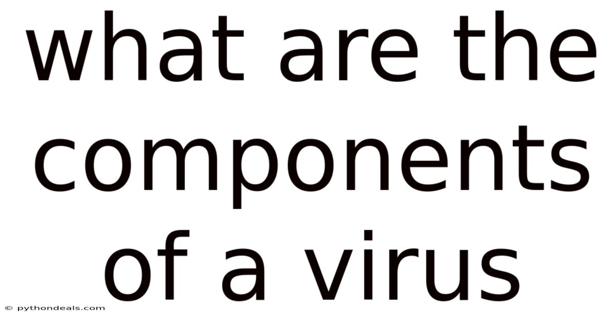 What Are The Components Of A Virus