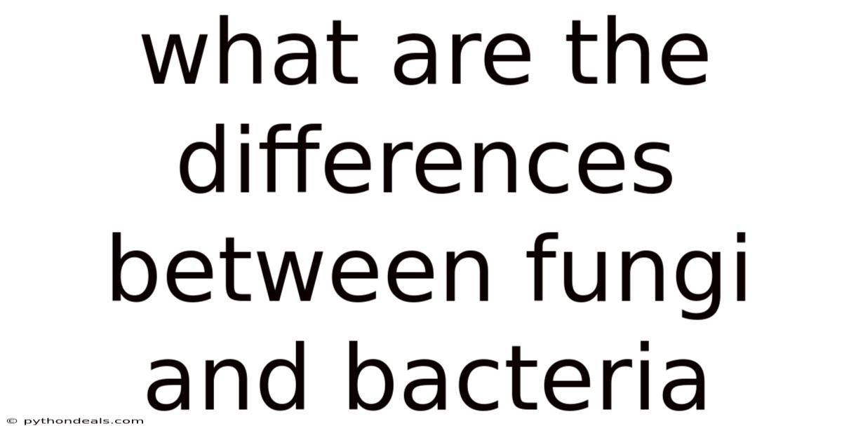 What Are The Differences Between Fungi And Bacteria