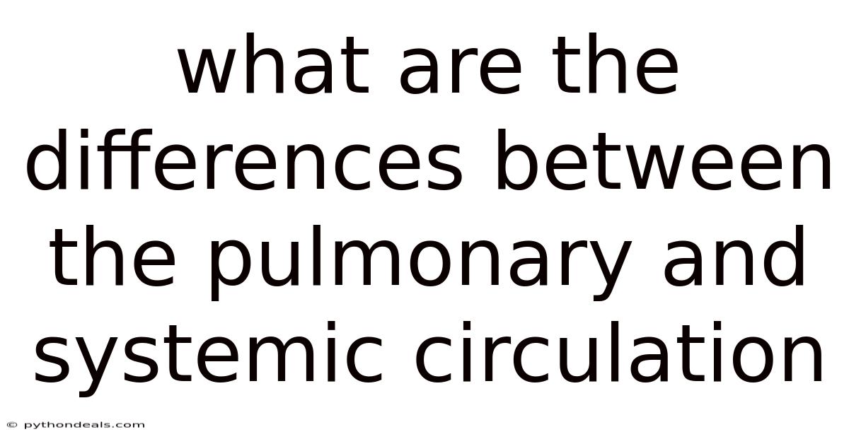 What Are The Differences Between The Pulmonary And Systemic Circulation