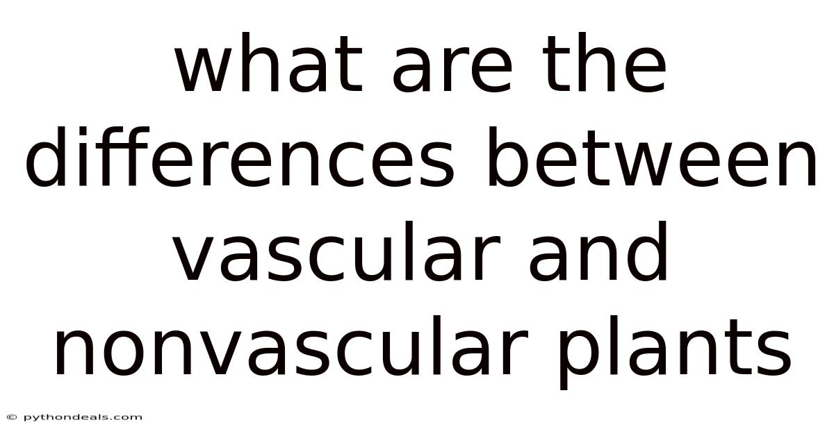 What Are The Differences Between Vascular And Nonvascular Plants