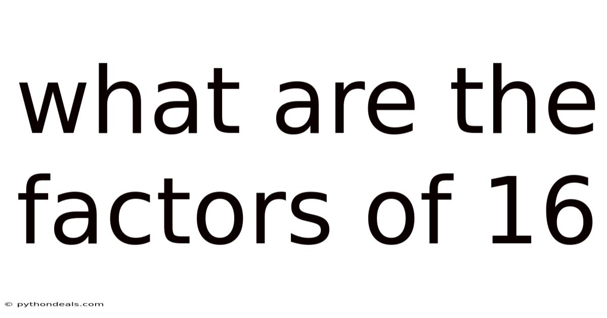 What Are The Factors Of 16