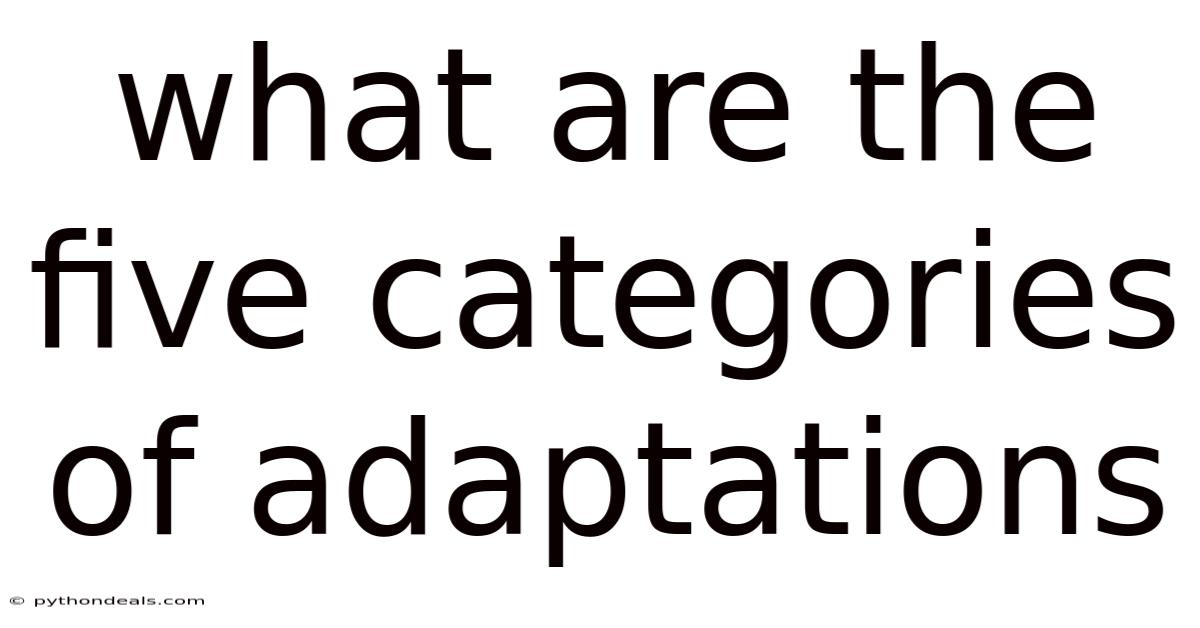 What Are The Five Categories Of Adaptations