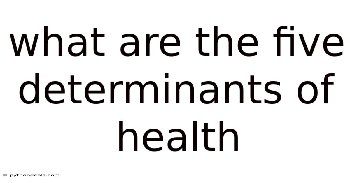 What Are The Five Determinants Of Health
