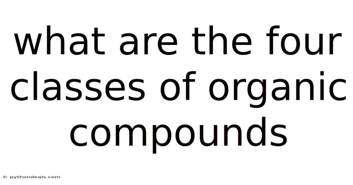 What Are The Four Classes Of Organic Compounds