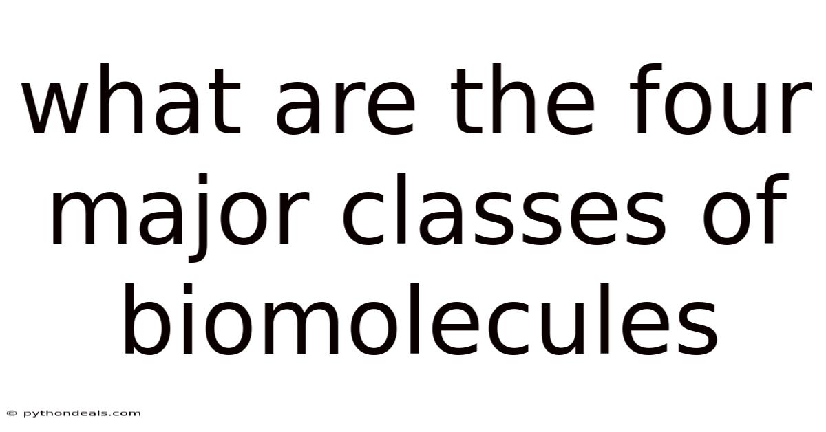 What Are The Four Major Classes Of Biomolecules