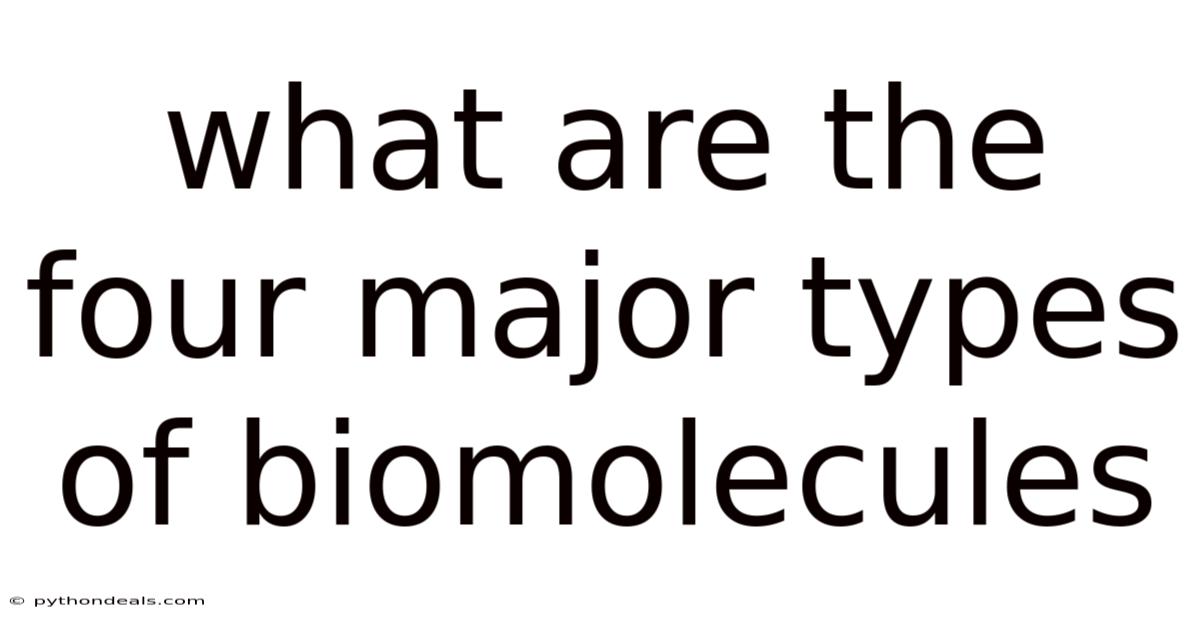 What Are The Four Major Types Of Biomolecules