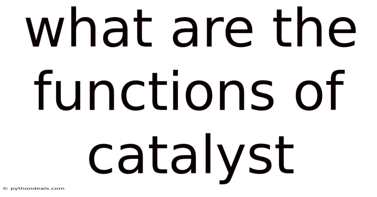 What Are The Functions Of Catalyst