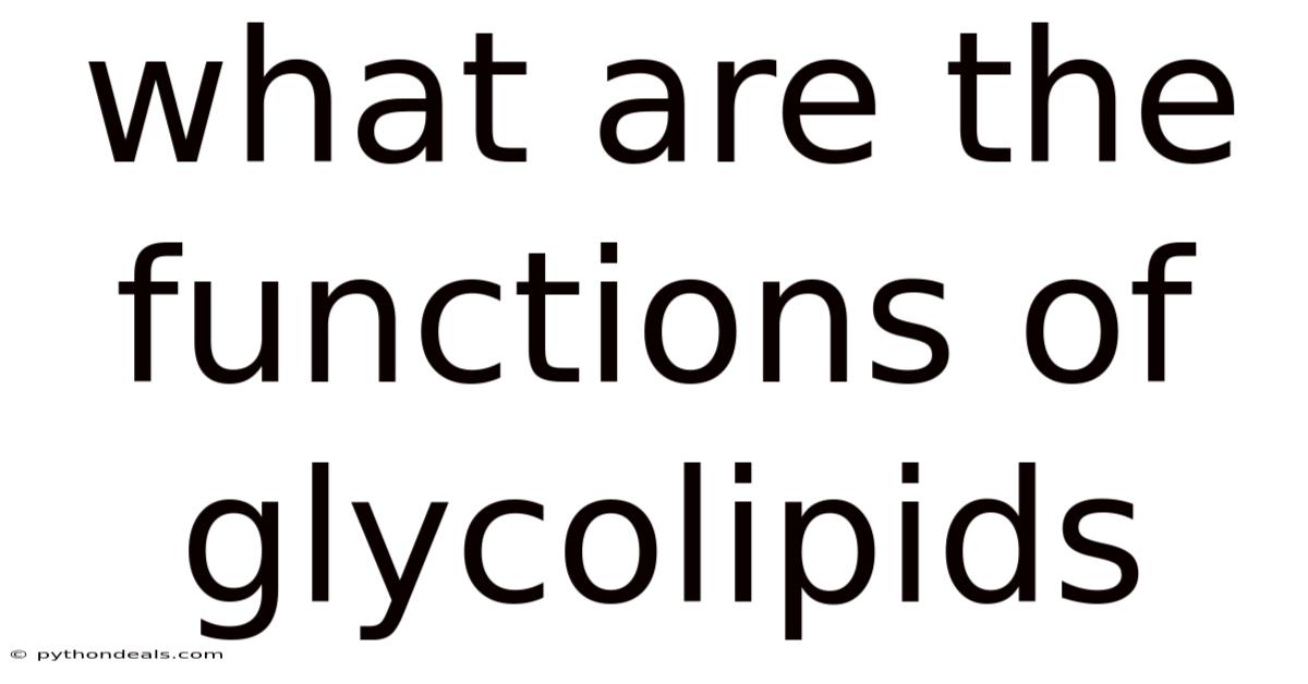 What Are The Functions Of Glycolipids