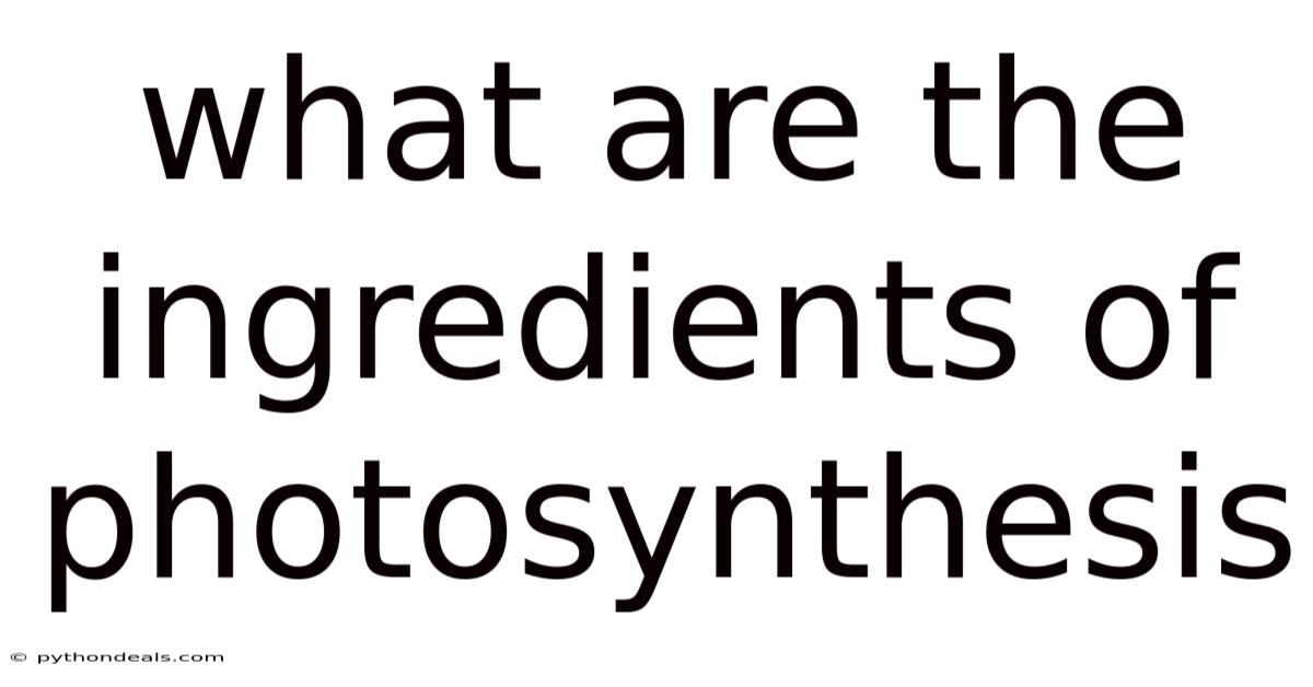 What Are The Ingredients Of Photosynthesis