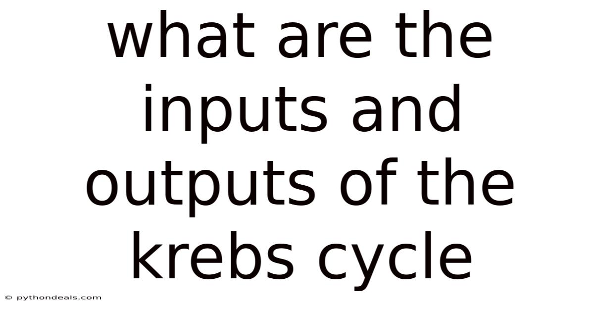 What Are The Inputs And Outputs Of The Krebs Cycle
