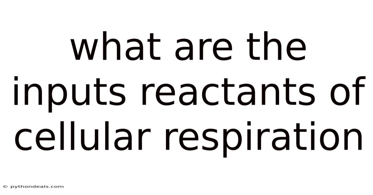 What Are The Inputs Reactants Of Cellular Respiration