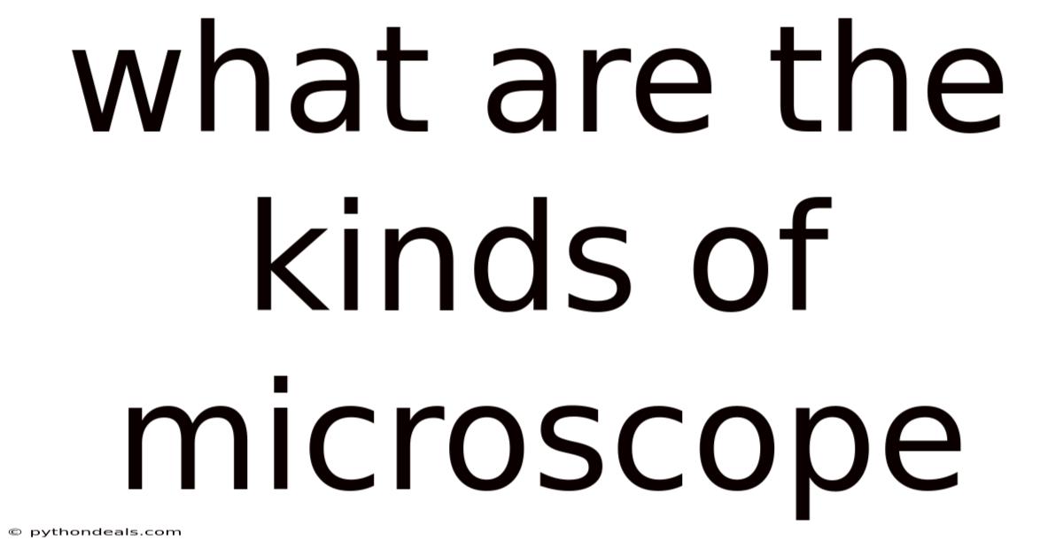 What Are The Kinds Of Microscope