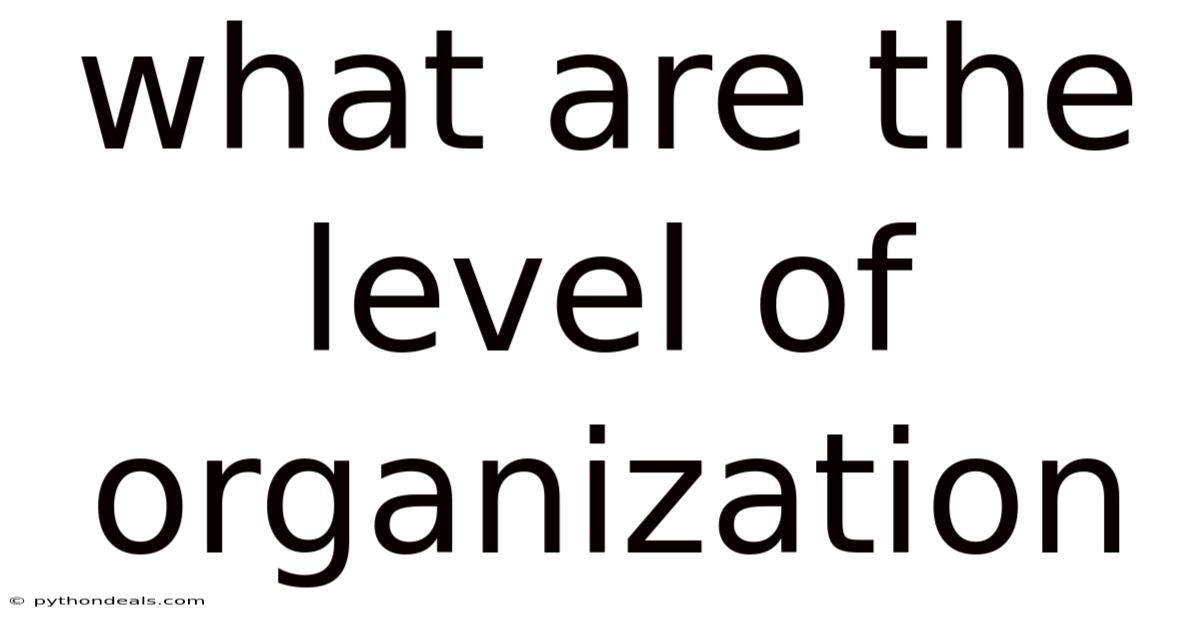 What Are The Level Of Organization