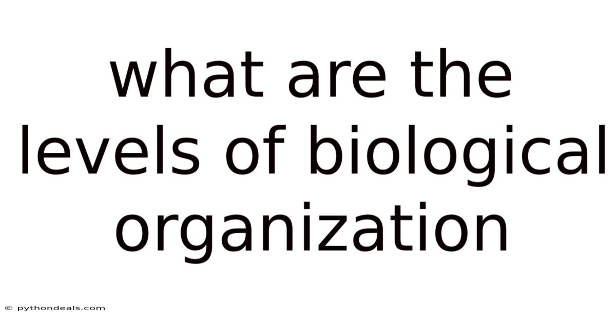 What Are The Levels Of Biological Organization
