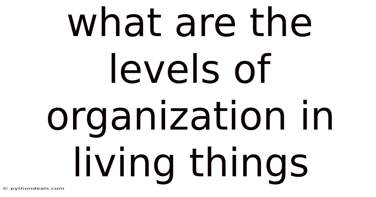 What Are The Levels Of Organization In Living Things