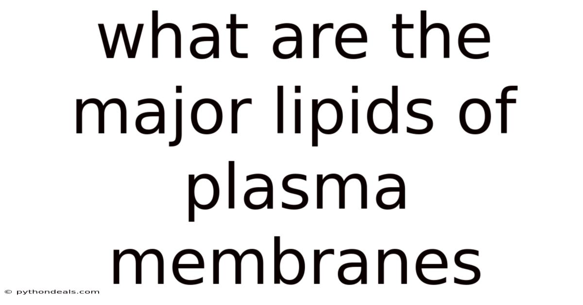 What Are The Major Lipids Of Plasma Membranes