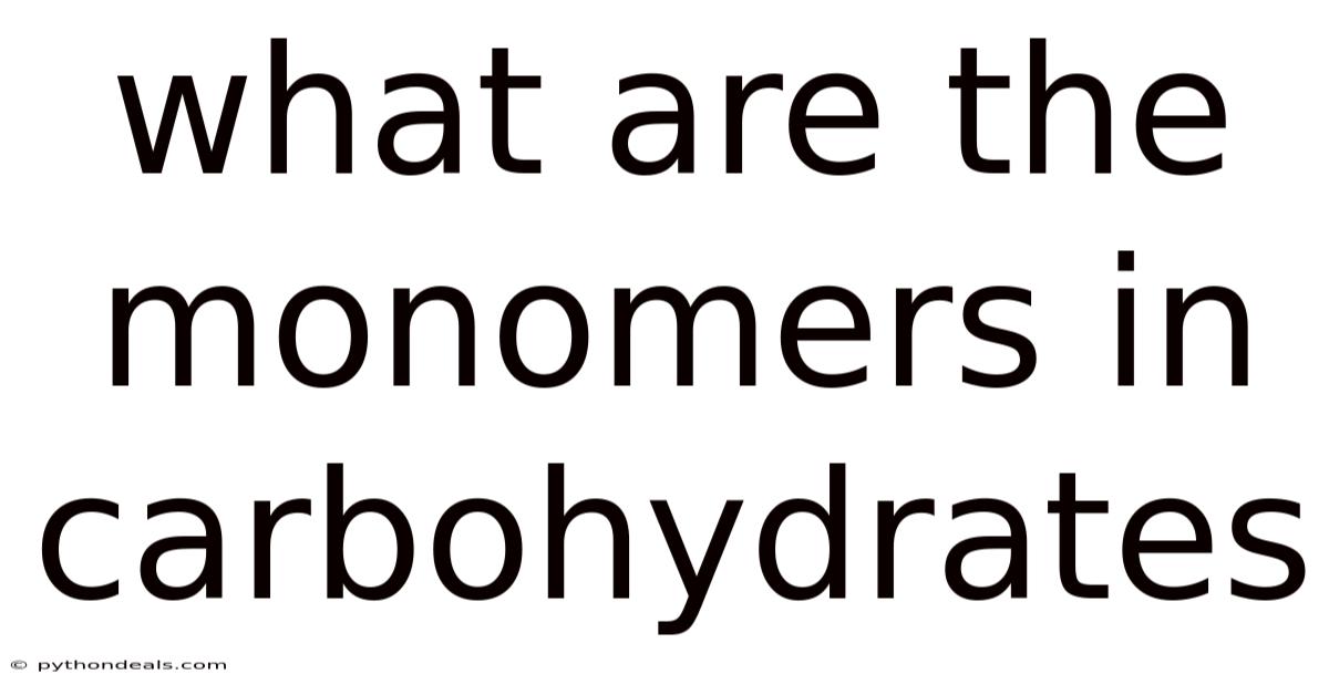 What Are The Monomers In Carbohydrates