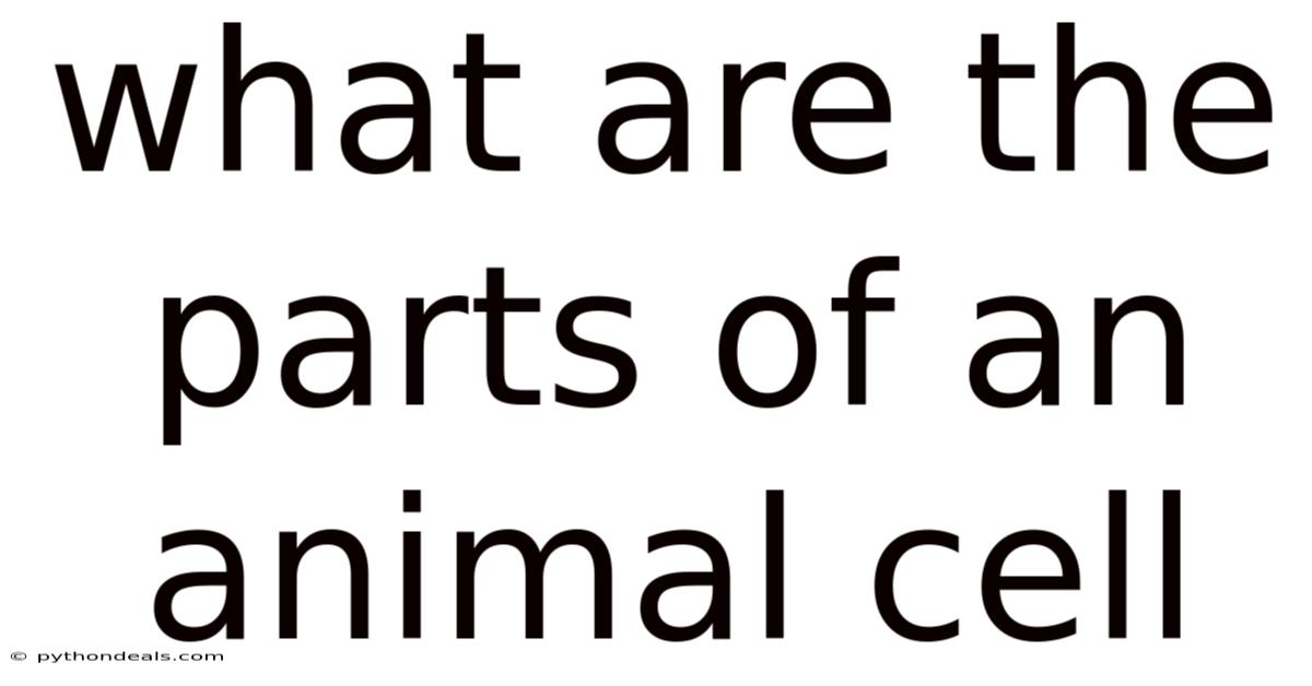 What Are The Parts Of An Animal Cell