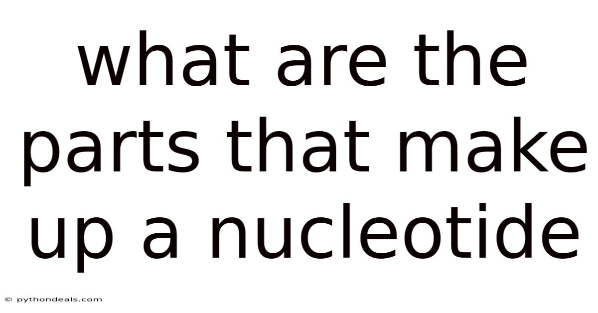 What Are The Parts That Make Up A Nucleotide