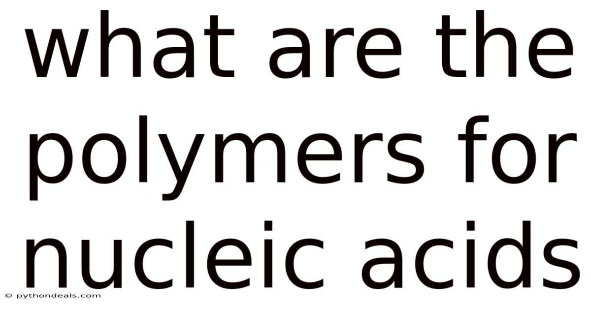 What Are The Polymers For Nucleic Acids