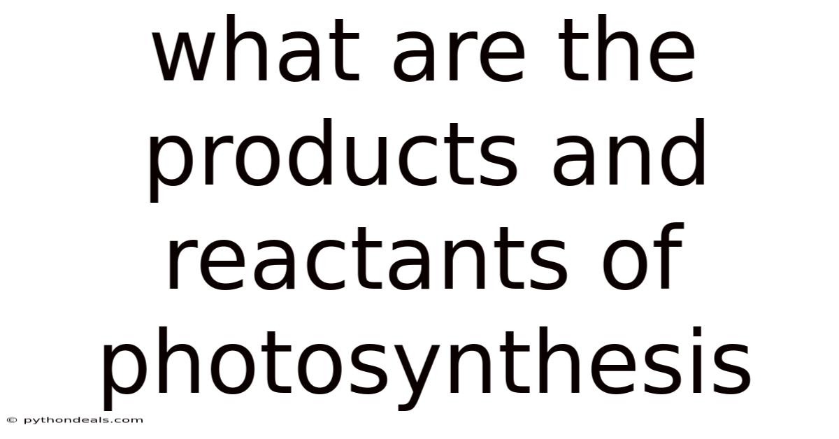 What Are The Products And Reactants Of Photosynthesis