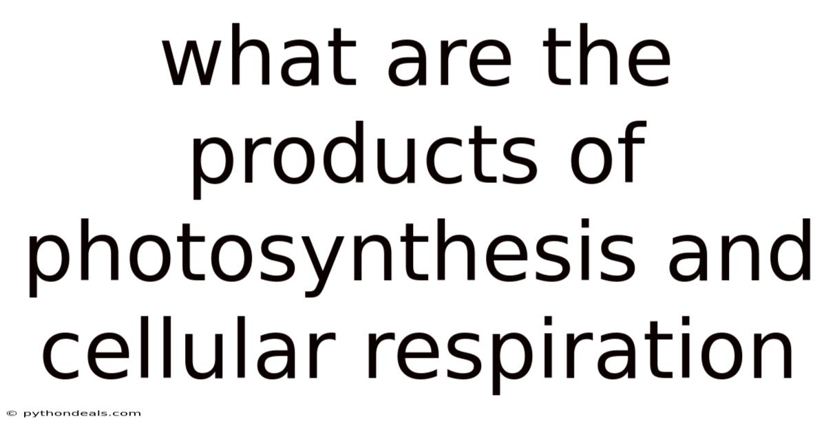 What Are The Products Of Photosynthesis And Cellular Respiration