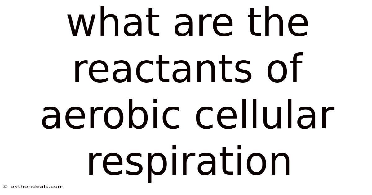 What Are The Reactants Of Aerobic Cellular Respiration