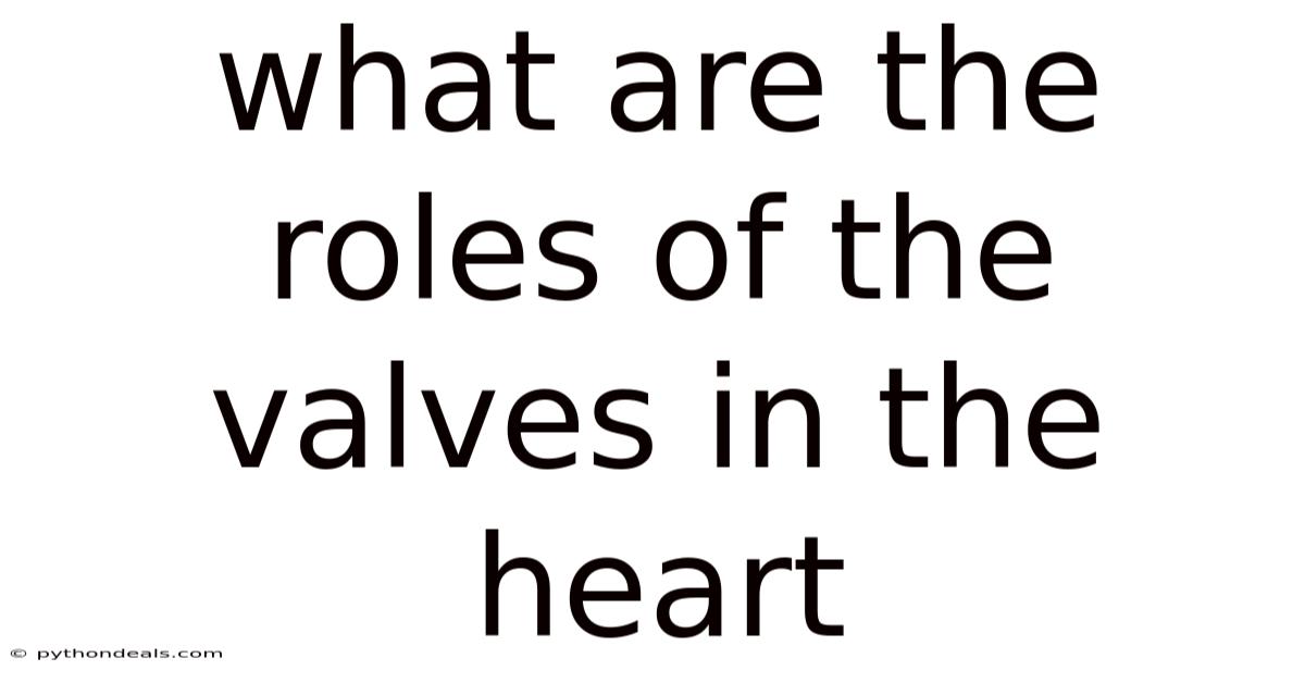 What Are The Roles Of The Valves In The Heart