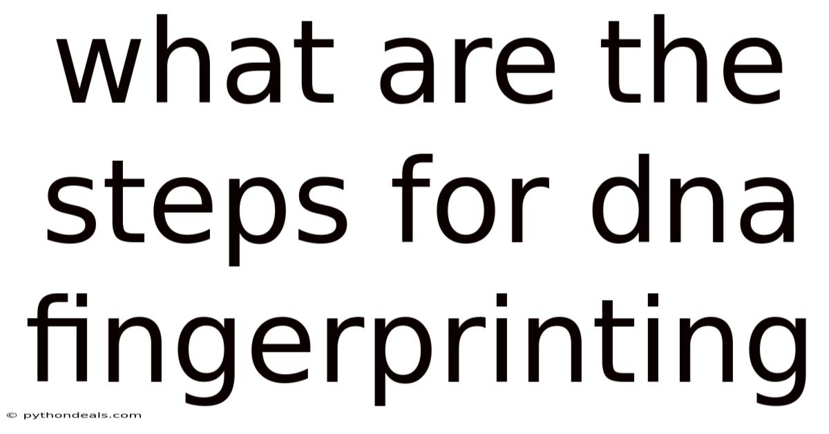 What Are The Steps For Dna Fingerprinting