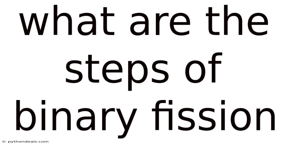 What Are The Steps Of Binary Fission