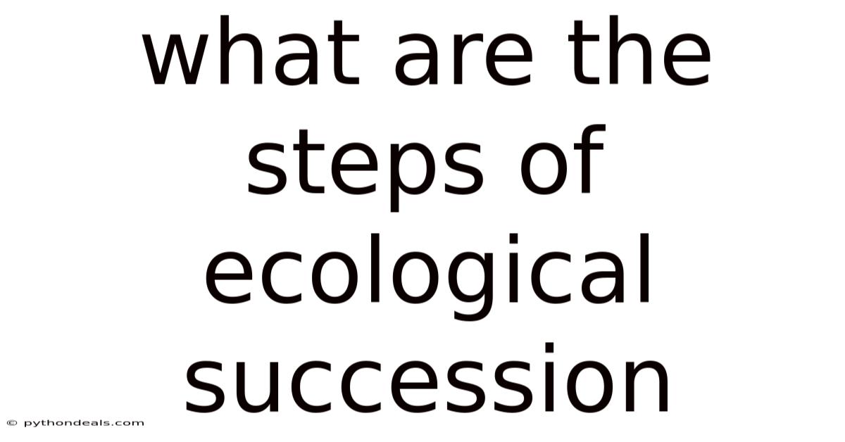 What Are The Steps Of Ecological Succession