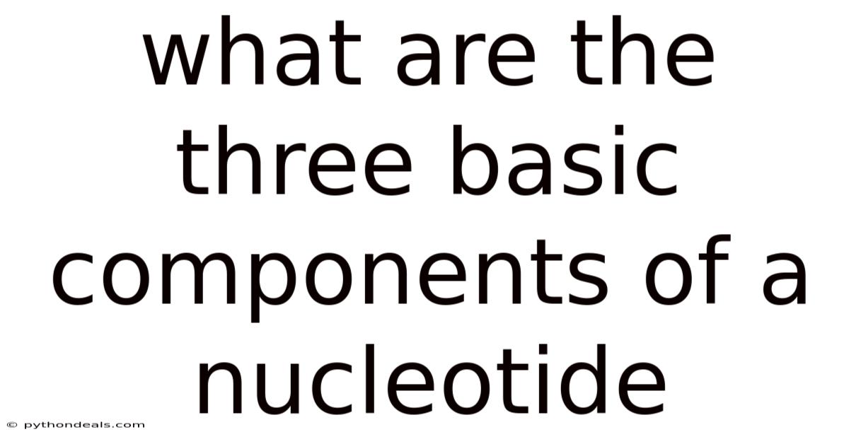 What Are The Three Basic Components Of A Nucleotide