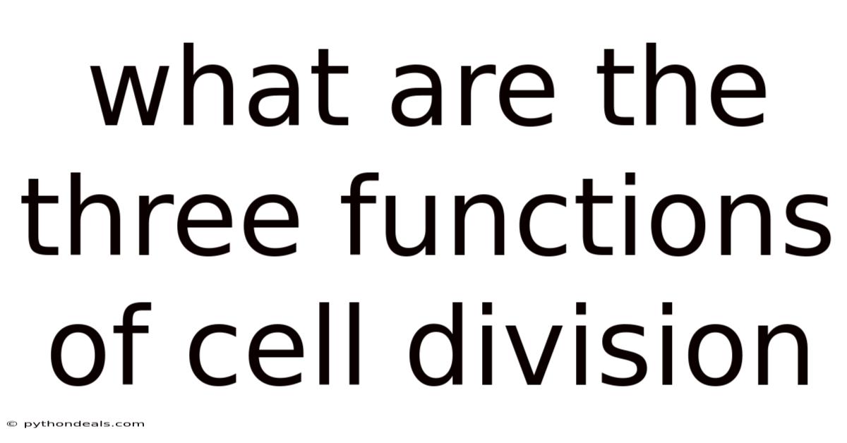 What Are The Three Functions Of Cell Division