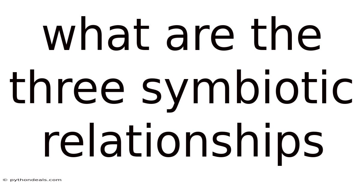 What Are The Three Symbiotic Relationships