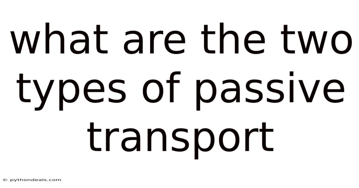 What Are The Two Types Of Passive Transport