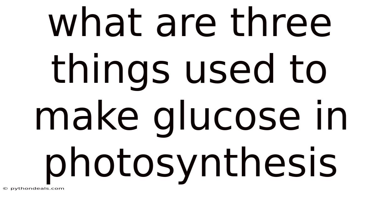 What Are Three Things Used To Make Glucose In Photosynthesis