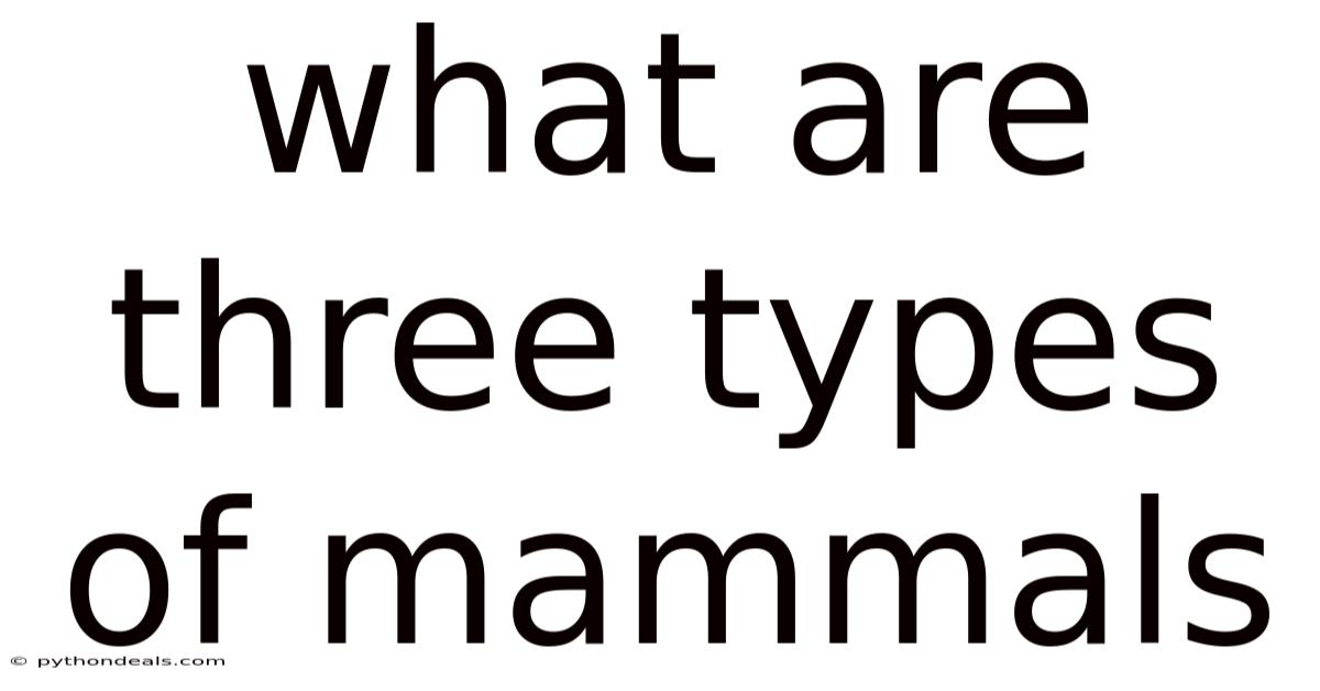 What Are Three Types Of Mammals