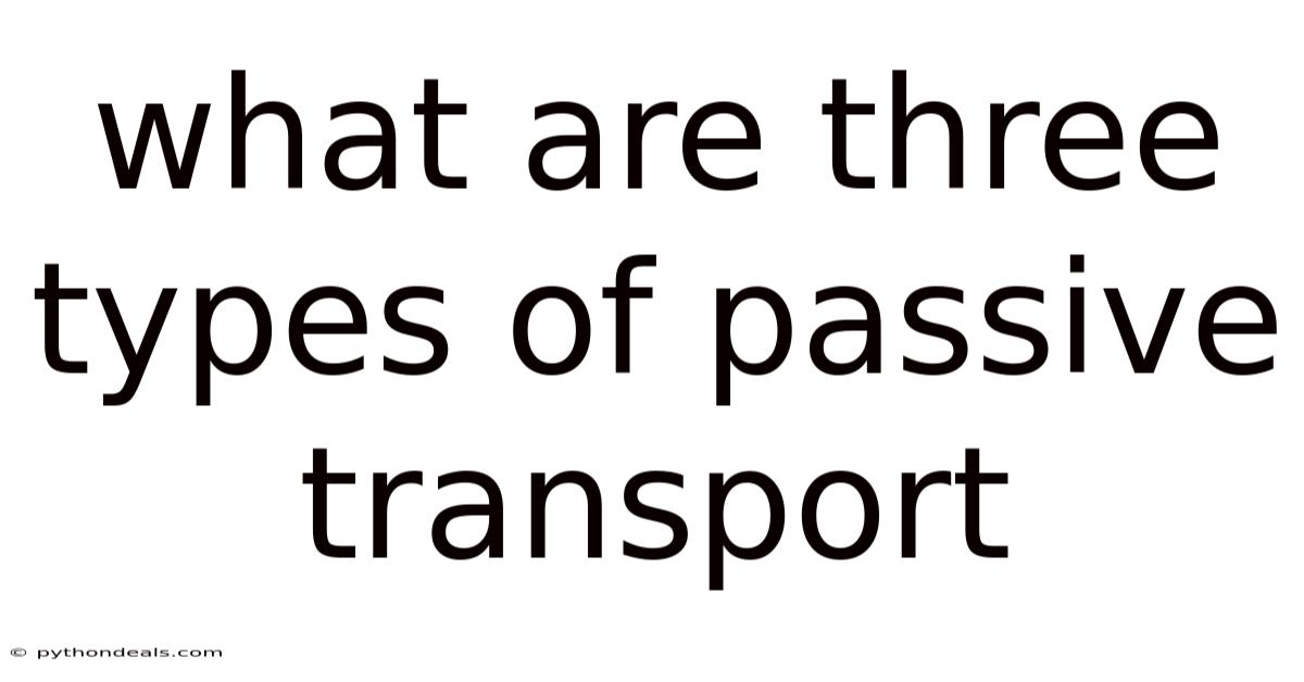 What Are Three Types Of Passive Transport
