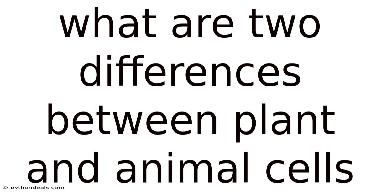 What Are Two Differences Between Plant And Animal Cells