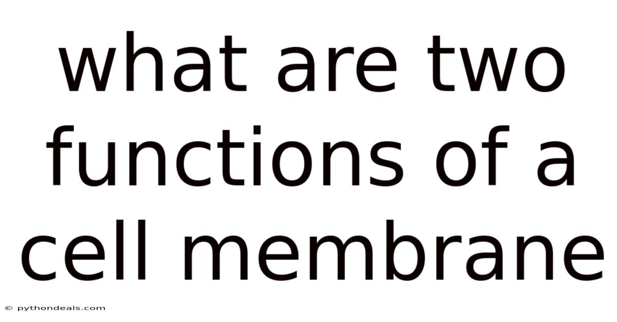 What Are Two Functions Of A Cell Membrane