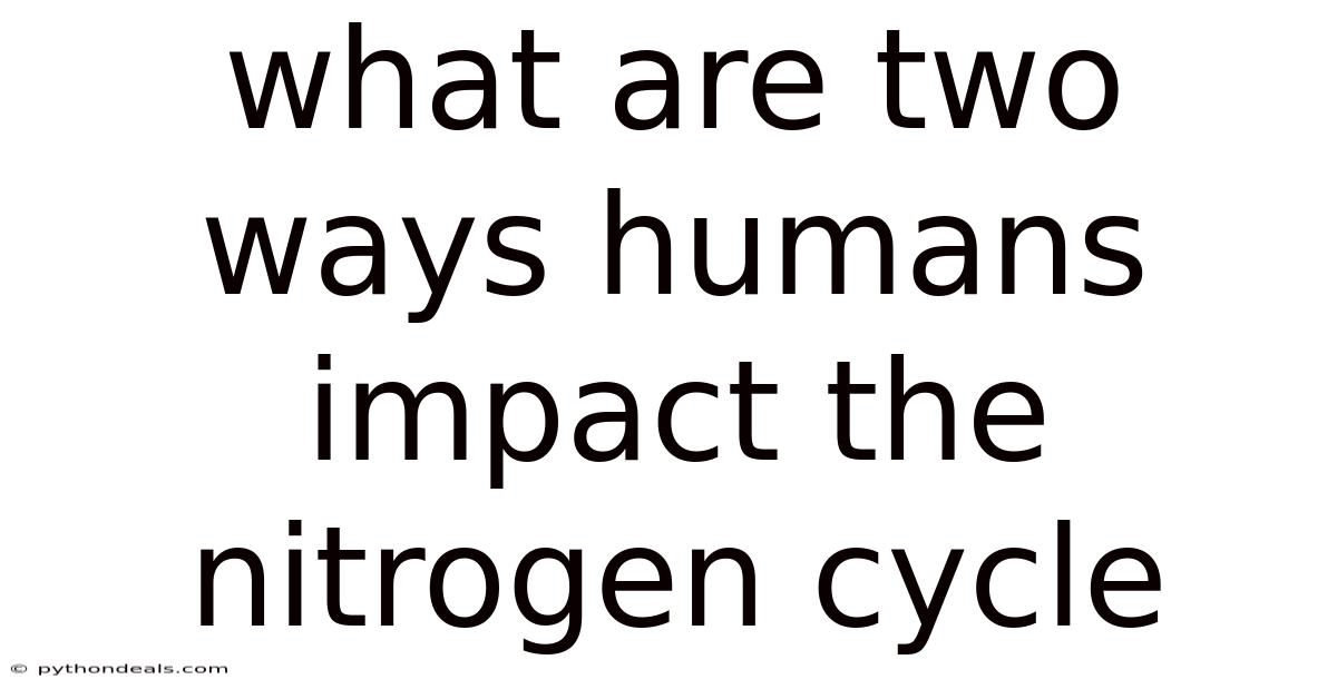 What Are Two Ways Humans Impact The Nitrogen Cycle