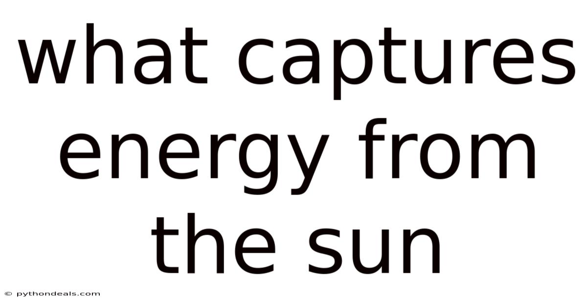 What Captures Energy From The Sun