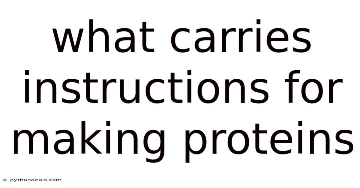 What Carries Instructions For Making Proteins