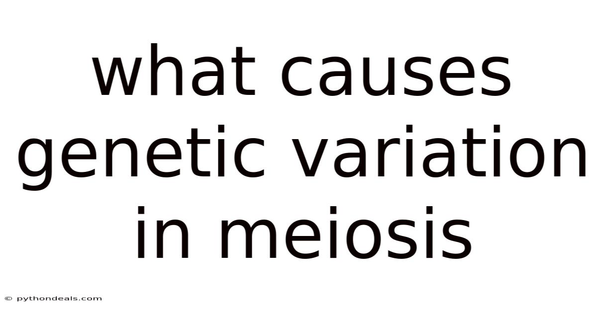 What Causes Genetic Variation In Meiosis