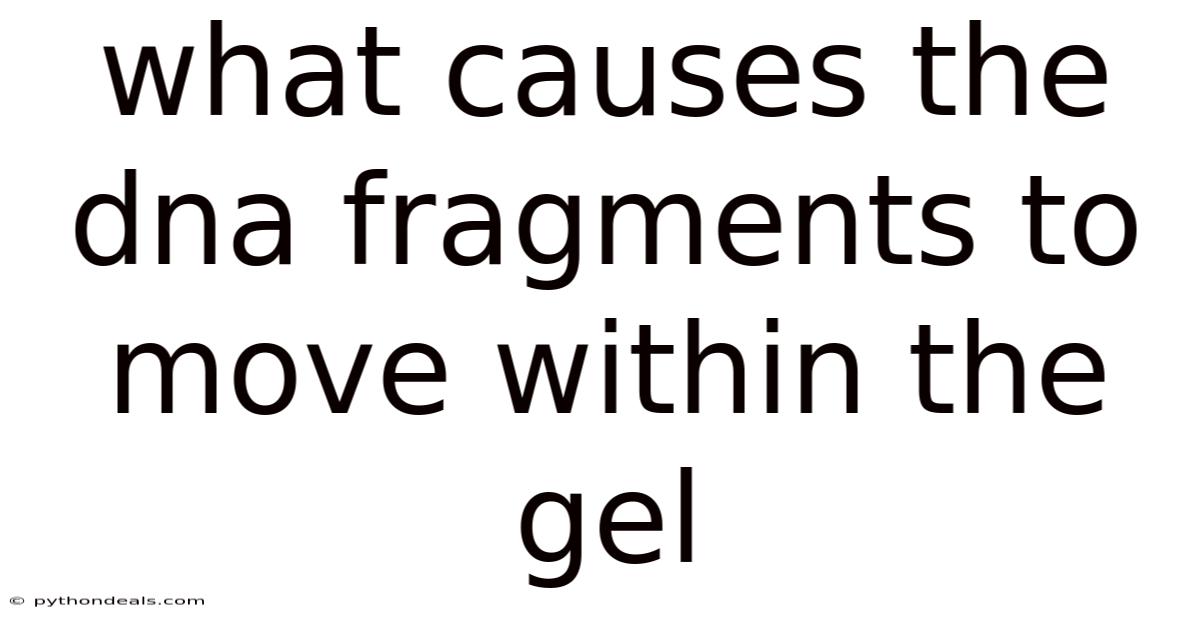 What Causes The Dna Fragments To Move Within The Gel
