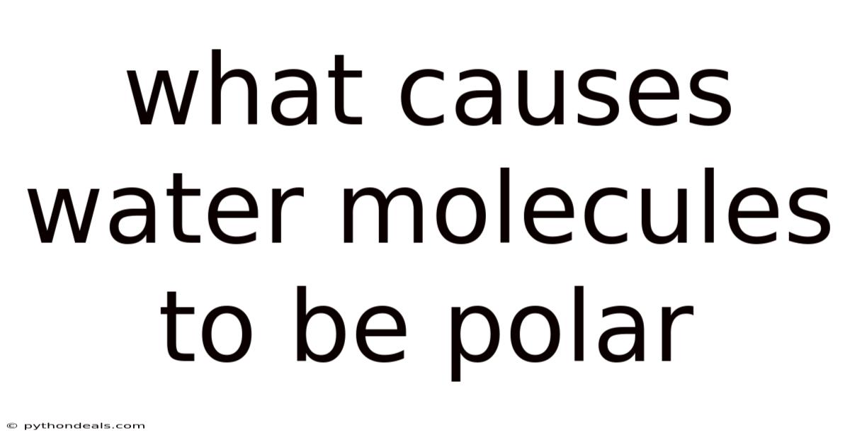What Causes Water Molecules To Be Polar