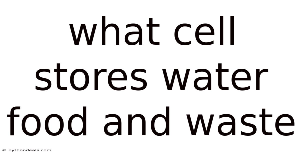 What Cell Stores Water Food And Waste