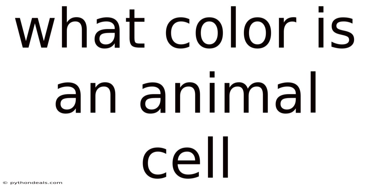 What Color Is An Animal Cell